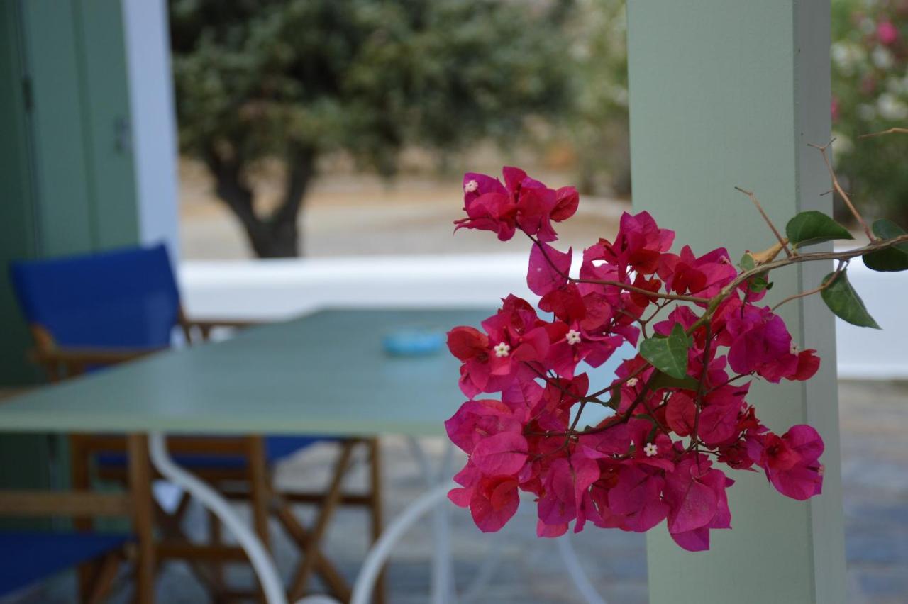 Maximos House Βίλα Προβατάς Εξωτερικό φωτογραφία